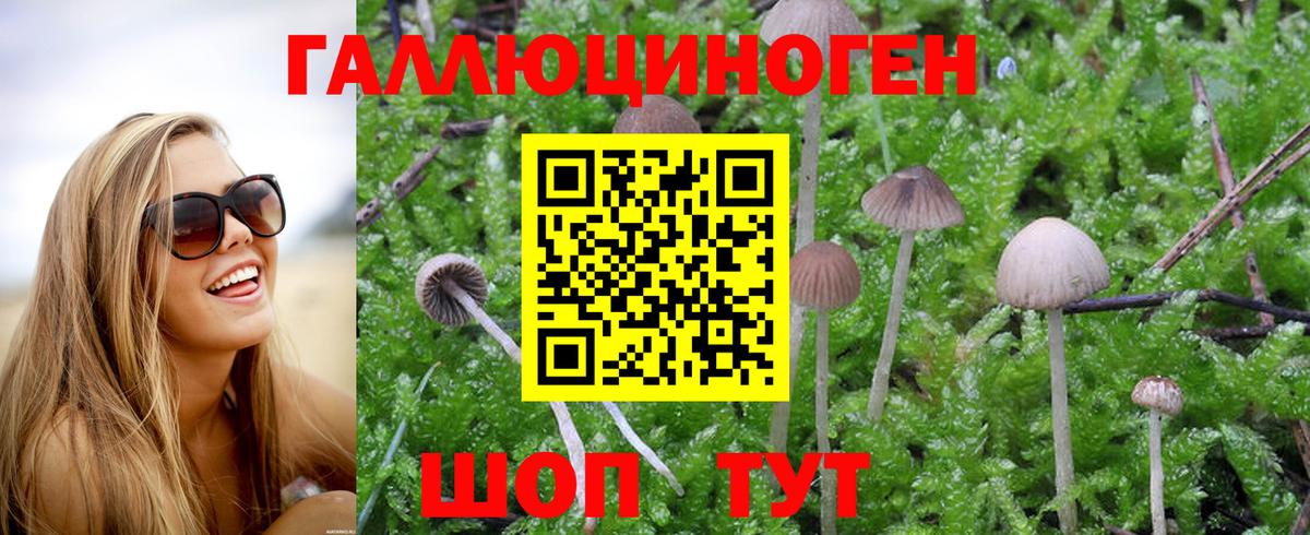 Псилоцибиновые грибы MAGIC MUSHROOMS  Вход с VPN  где продают   Галлюциногенные грибы прущие грибы  Лабинск 